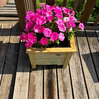 Square Cedar Deck Planter Box with Blooms